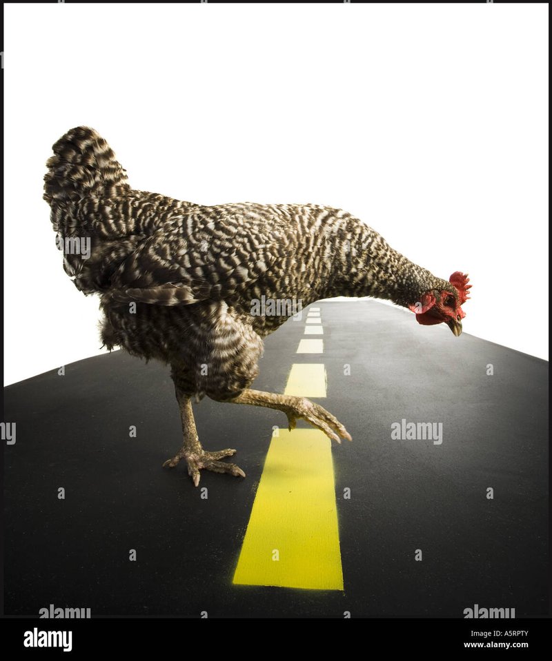 Learn about chicken road gokspel